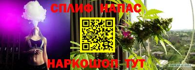 амф Гусев