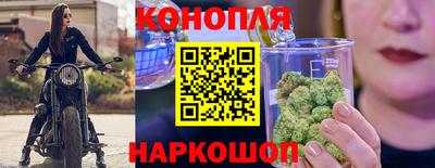 амф Гусев