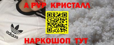 амф Гусев