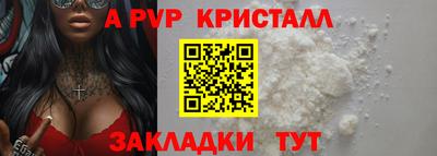 амф Гусев