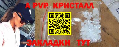 амф Гусев