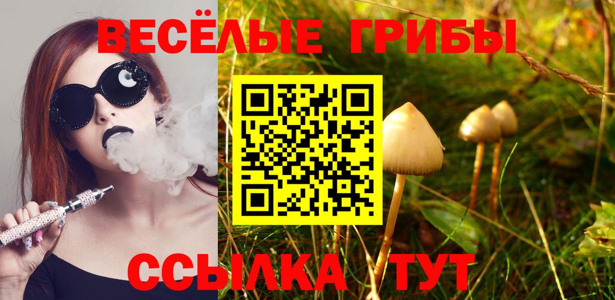 наркотики  Вход с VPN  Надым  Галлюциногенные грибы прущие грибы 